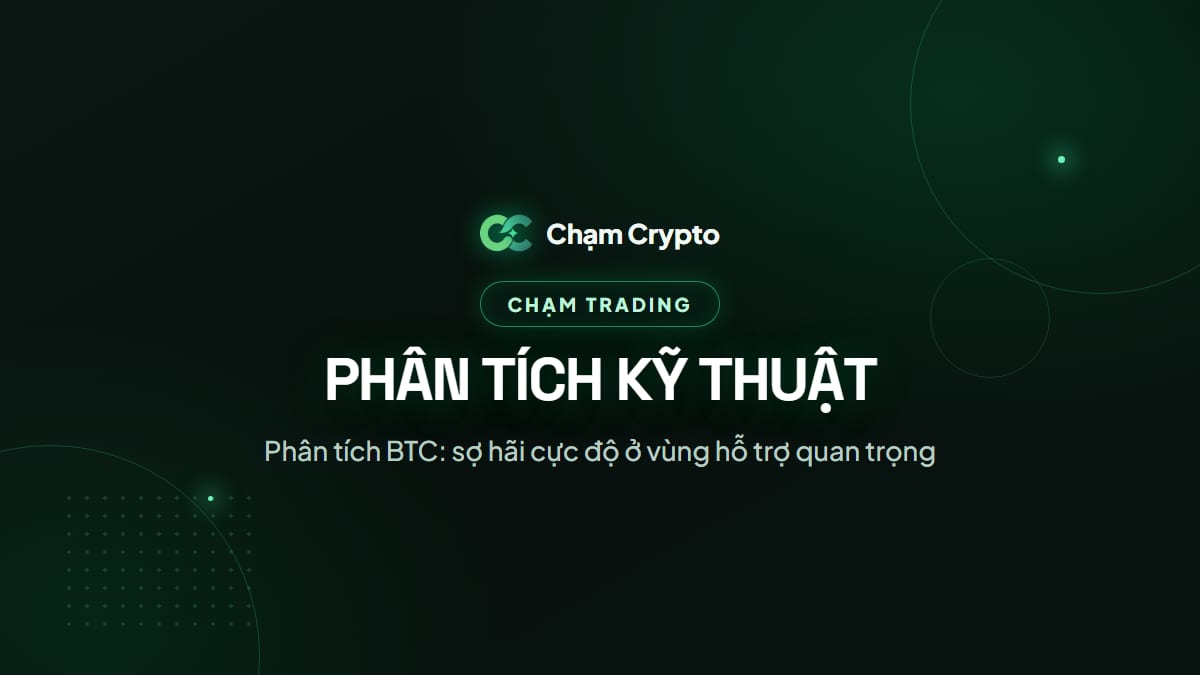 Phân tích BTC: sợ hãi cực độ ở vùng hỗ trợ quan trọng